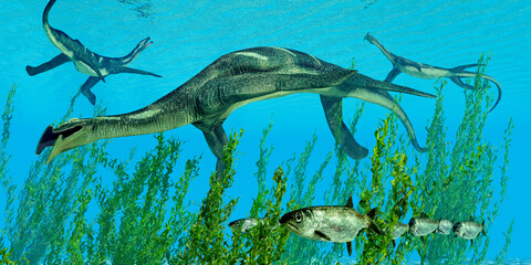 Atopodentatus eats Underwater Kelp - Atopodentatus was a herbivorous semi-aquatic marine reptile that lived in Triassic Seas of China.
