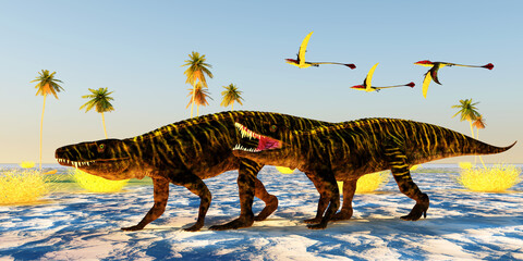 Batrachotomus Dinosaurs - Batrachotomus was a carnivorous archosaur predator that lived in Germany during the Triassic Period. © Catmando