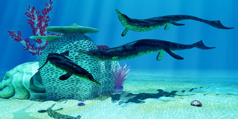 Cymbospondylus Reptiles on Reef - Cymbospondylus was an early carnivorous Ichthyosaur that lived in the Triassic seas of Germany and Nevada. © Catmando