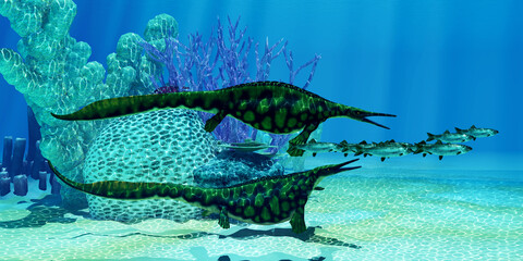 Hupehsuchus Marine Reptiles Undersea - Hupehsuchus was a small genus of marine reptile found in China and lived in the Triassic Period. Two of them chase after a Pacific Herring fish school.
