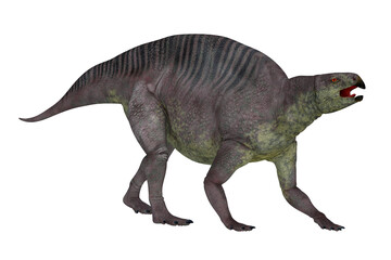 Fototapeta premium Lotosaurus Dinosaur Walking - Lotosaurus adentis was a herbivorous poposauroid dinosaur that lived in China during the Triassic Period.