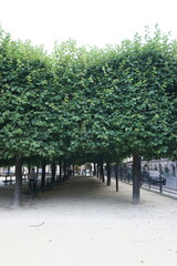 Gorgeous scene at Place des Vosges on a sunny morning