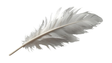 Obraz premium White Feather on Transparent Background - PNG Cutout File for Mockup Template and Graphic Design