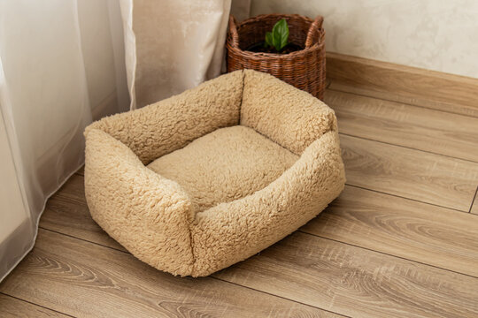 Light beige soft bed for cat or dog. Plush couch for small breeds in living room. Natural