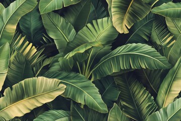 Fototapeta premium Exotic patterned composition showcasing refined palm and banana leaves. Creative retro 3d visualization. Chic tropical themed background perfect for high-end wallpapers, fabrics, and products