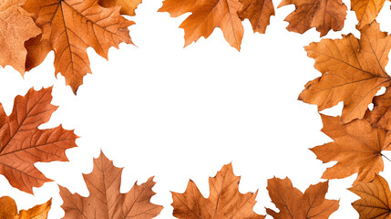 Obraz premium Autumn frame made of dry leaves isolated on white background with place for text. Creative seasonal fall greeting or gift card. Minimal flat lay. Foliage pattern, natural border.
