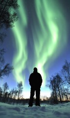 Fototapeta premium Aurora borealis: northern lights painting sky with vivid hues, a mesmerizing spectacle of natures light show, enchanting onlookers with its ethereal glow and dynamic movements across the horizon