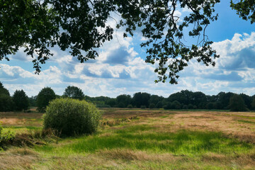 Impressionen aus dem Emsland - zwischen Meppen und Haselünne - Hasetal