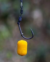 
carp fishing hook with bait boily products
