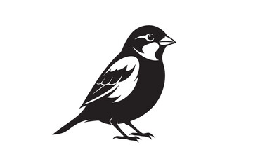 Fototapeta premium Common Sparrow silhouette vector illustration, Common Sparrow silhouette PNG, Common Sparrow silhouette vector .