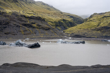 Iceland black sand beach in summer