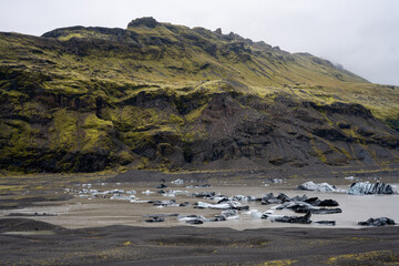 Iceland black sand beach in summer