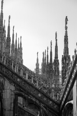 Fototapeta premium milan duomo roof
