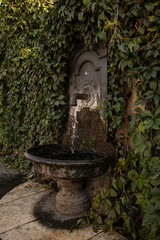 fountain in the park