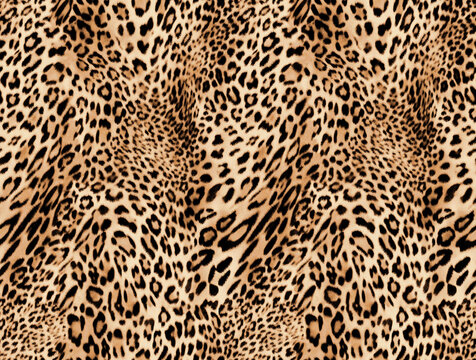 leopard seamless pattern with leopard print
