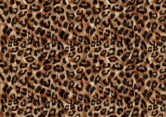 Leopard texture, animal print, african animal fur
