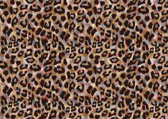 Leopard texture, animal print, african animal fur
