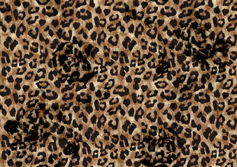 Leopard texture, animal print, african animal fur
