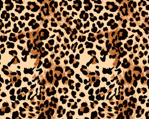 Leopard texture, animal print, african animal fur
