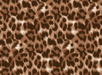 Leopard texture, animal print, african animal fur
