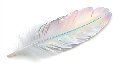 Fototapeta premium one single nacre birds feather isolated on white background
