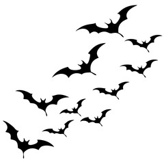 Dynamic Outline Vector of Scattered Flying Bats