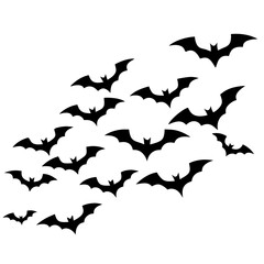 Dynamic Outline Vector of Scattered Flying Bats