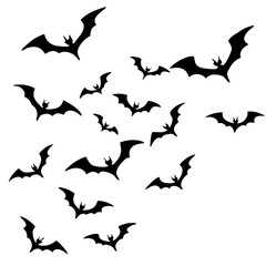 Dynamic Outline Vector of Scattered Flying Bats