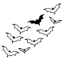 Dynamic Outline Vector of Scattered Flying Bats