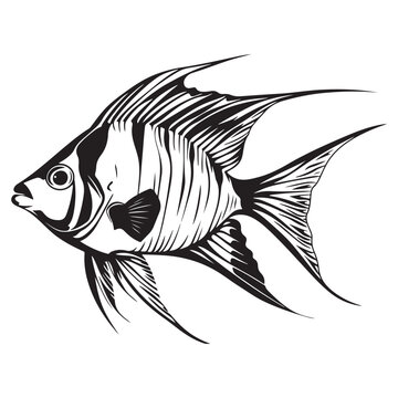recommend clip art: A black silhouette of a Angelfish vector clip art, Clipart Hand drawn cartoon graphic design icon
