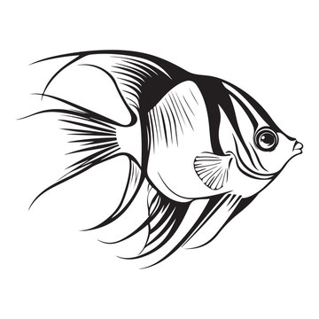 recommend clip art: A black silhouette of a Angelfish vector clip art, Clipart Hand drawn cartoon graphic design icon