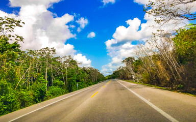 Driving on the highway through the tropical jungle in Mexico.