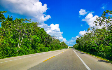 Driving on the highway through the tropical jungle in Mexico.