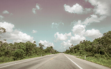 Driving on the highway through the tropical jungle in Mexico.