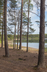 View of Meschera region in Russia