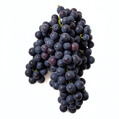 Freshly harvested bunch of dark grapes on a white background showcasing their vibrant color and healthy appearance