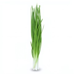 Fototapeta premium Fresh green onions arranged against a clean white background, showcasing their vibrant color and healthy appearance