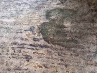 Abstract wooden texture vintage retro wall