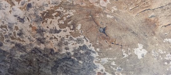 Black fungus and stain on old mortar wall texture background