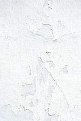 Abstract white  background and texture