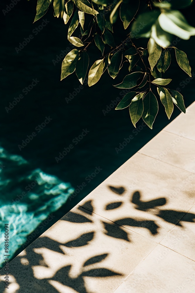 Poster a close-up of a swimming pool with leafy branches casting shadows on the deck.