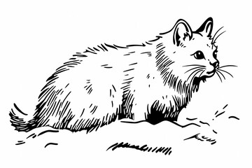 Fototapeta premium Adorable cat coloring page for children, perfect for creative stock illustrations.