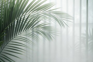 Green palm with reeded glass. White Reeded Glass. Plant leaves. Pure abstract design on empty background for clean modern look. Cosmetic template on beautiful magazine decor. Ribbed Background.