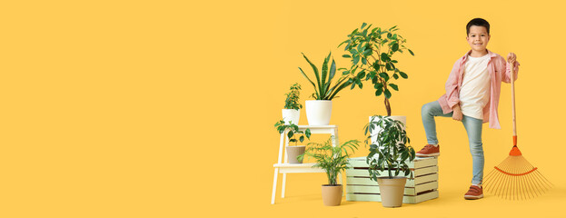 Cute little Asian boy with gardening tool and houseplants on yellow background