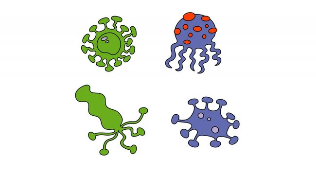 Bacteria And Diases 2D Animation