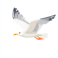 Flat design of a flying seagull with clean white feathers and bold outlines, isolated on a white background.