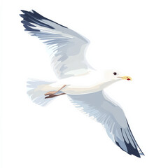 Flat design of a flying seagull with clean white feathers and bold outlines, isolated on a white background.