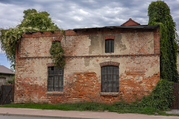 Fototapeta premium Abandoned old brick building covered in green ivy with broken windows on a cloudy day.