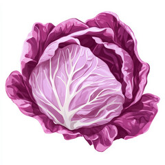 Obraz premium Flat design of a purple radicchio head, rendered with clean lines and bold, vibrant colors, isolated on white.