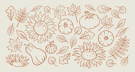 Fall leaf, sunflower and pumpkin doodle. Autumn nature elements. Graphic background with hand drawn illustration. Maple, oak and rowan leaves line art sketch.